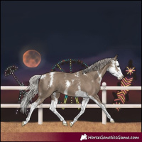Horse Color:Silver Grullo Sabino Splash 