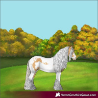 Horse Color:Silver Buckskin Tobiano Frame Rabicano 