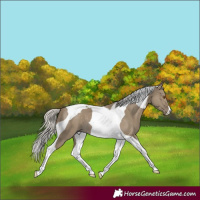 Horse Color:Silver Smoky Grullo Tobiano 