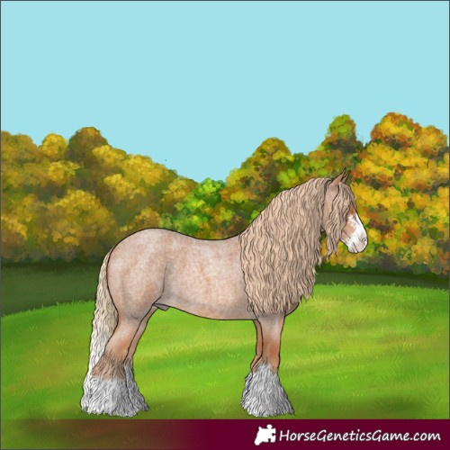 Horse Color:Red Roan Sabino Splash