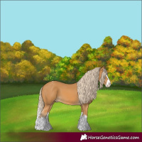 Horse Color:Palomino Splash Varnish