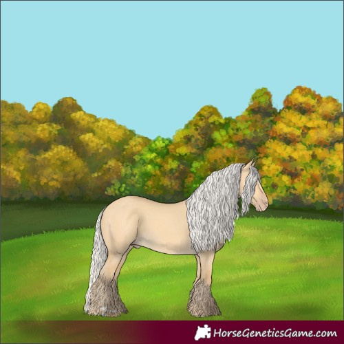 Horse Color:Silver Amber Cream Champagne Dun 