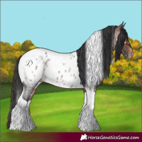Horse Color:Bay Roan Tobiano Near Leopard 