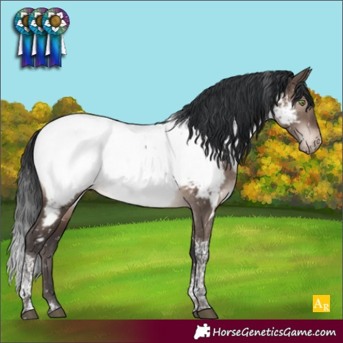 Horse Color:Brown Dun Mushroom Tobiano Appaloosa