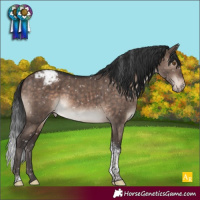 Horse Color:Brown Dun Mushroom Tobiano Snowcap Brindle