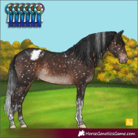 Horse Color:Brown Mushroom Tobiano Blanket