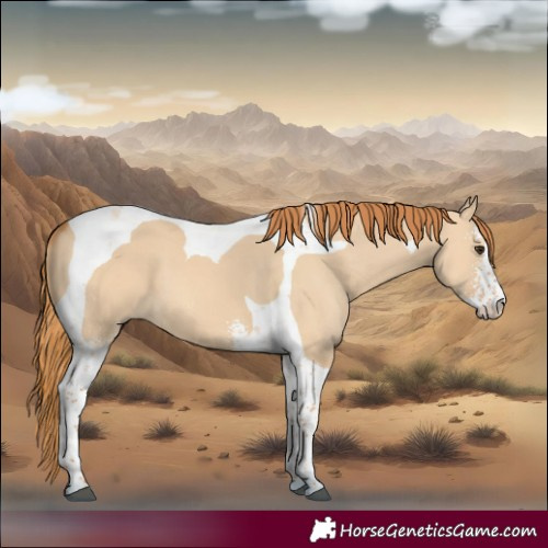 Horse Color:Red Dun Sabino Tobiano 