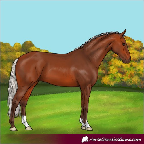 Horse Color:Silver Bay