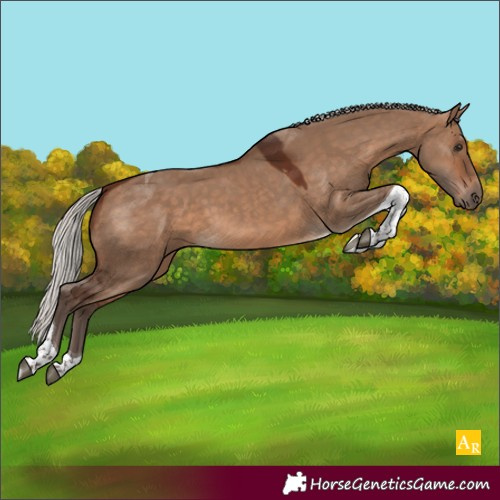 Horse Color:Silver Brown Dun Tobiano