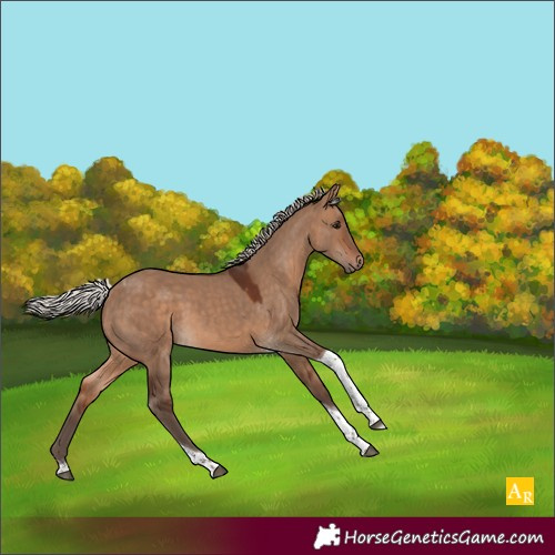 Horse Color:Silver Brown Dun Tobiano