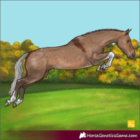Horse Color:Silver Brown Dun Tobiano