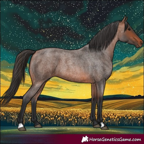 Horse Color:Bay Roan
