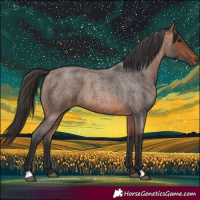 Horse Color:Bay Roan 