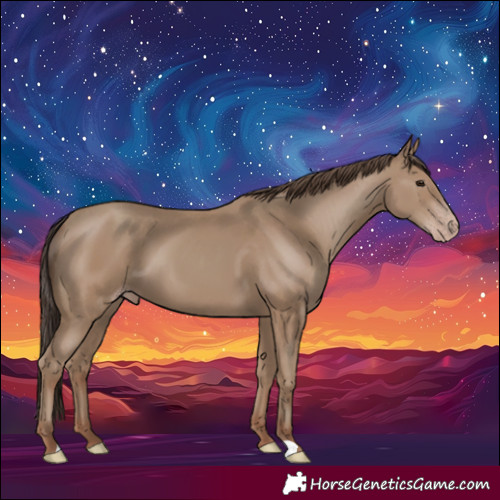 Horse Color:Classic Champagne