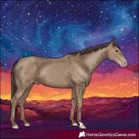 Horse Color:Classic Champagne 