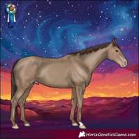 Horse Color:Classic Champagne