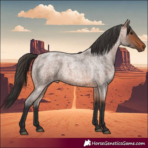 Horse Color:Bay Roan 