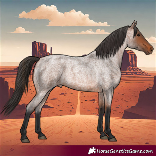 Horse Color:Bay Roan