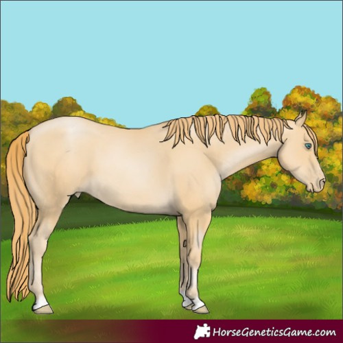 Horse Color:Smoky Black Pearl 