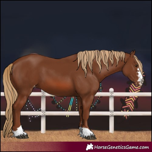 Horse Color:Chestnut Varnish 