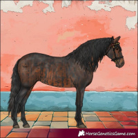 Horse Color:Black  and Brown 