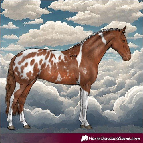 Horse Color:Chestnut Tobiano Appaloosa Rabicano