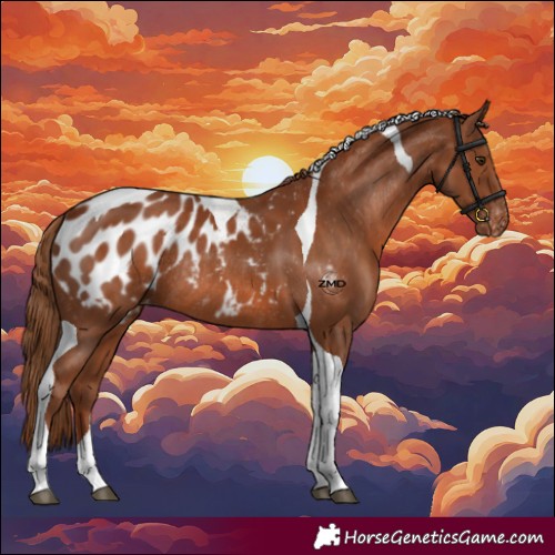 Horse Color:Chestnut Tobiano Blanket Rabicano 