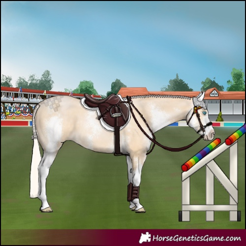 Horse Color:Silver Buckskin Pearl Sabino