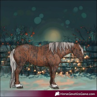 Horse Color:Black  and Silver Black 