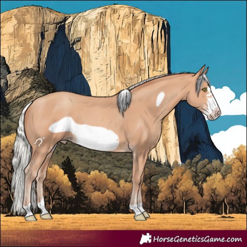 Horse Color:Silver Amber Champagne Frame