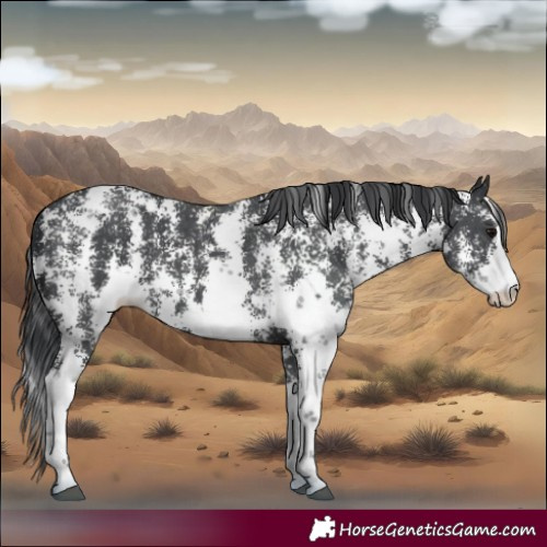 Horse Color:Black Sabino