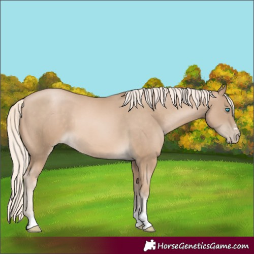 Horse Color:Chocolate Palomino Pearl 