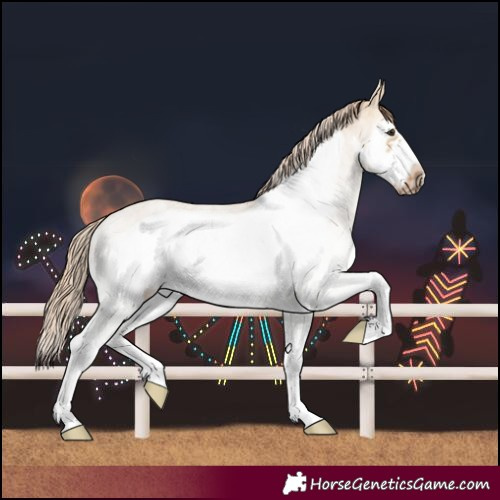 Horse Color:White Spotted Red Dun Frame