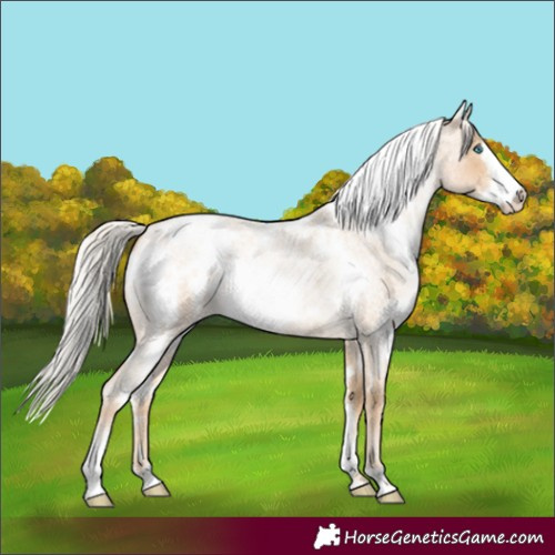 Horse Color:White Spotted Silver Smoky Blue Roan Pearl Frame 