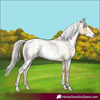 Horse Color:White Spotted Silver Smoky Blue Roan Pearl Frame 