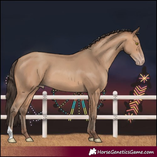 Horse Color:Amber Champagne