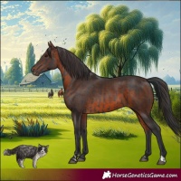 Horse Color:Black and Brown