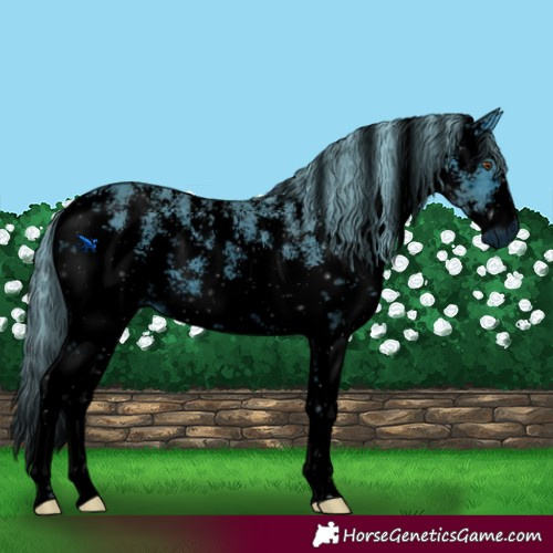 Horse Color:ERROR: UNKNOWN ANOMALY
