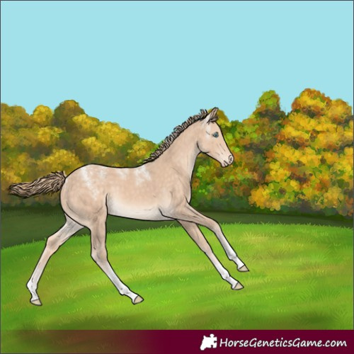 Horse Color:Powder White Perlino Tobiano Rabicano 