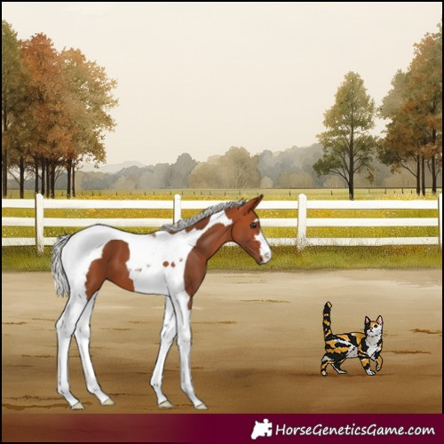 Horse Color:Silver Bay Tobiano 