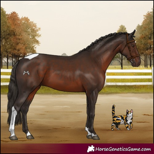 Horse Color:Liver Chestnut Tobiano 