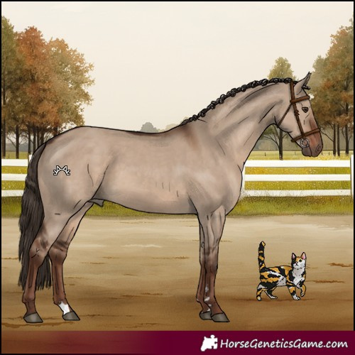 Horse Color:Liver Red Dun