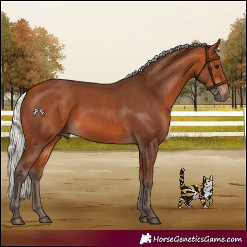 Horse Color:Silver Bay 