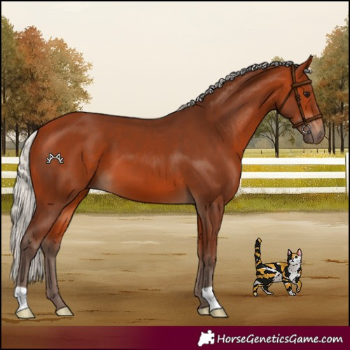 Horse Color:Silver Bay