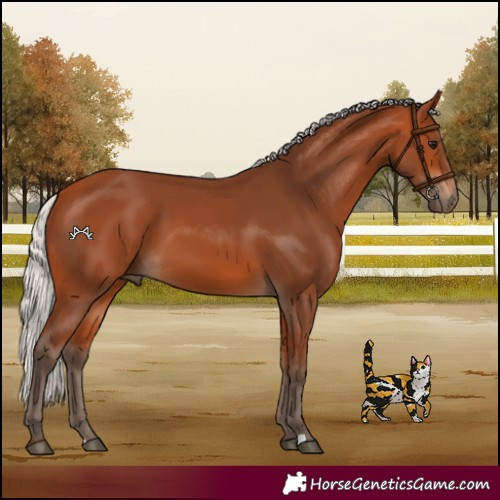 Horse Color:Silver Bay