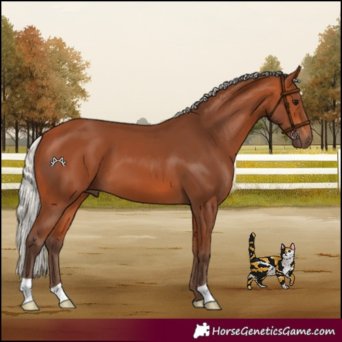 Horse Color:Silver Bay