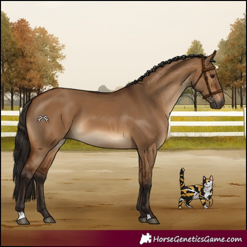 Horse Color:Gray Bay Dun