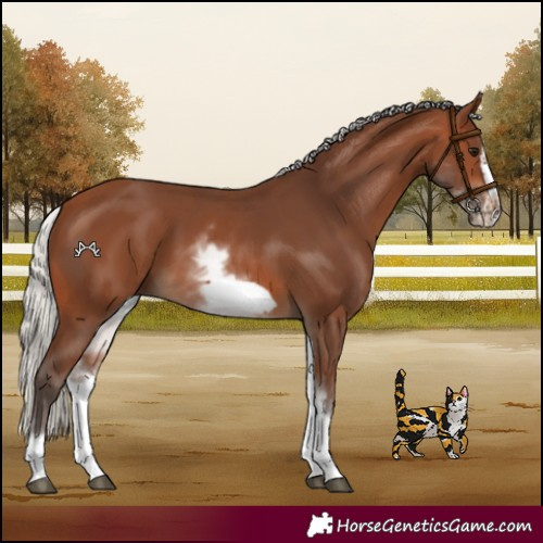 Horse Color:White Spotted Silver Brown Frame 