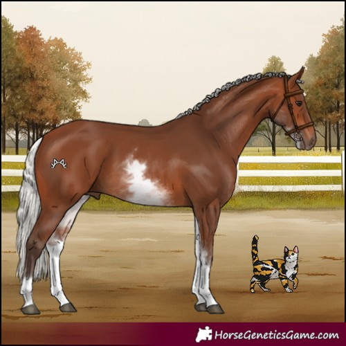 Horse Color:White Spotted Silver Brown 