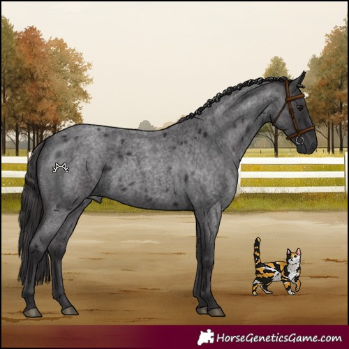 Horse Color:Smoky Blue Roan